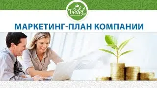 Маркетинг-план компании 