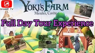 Yoki’s Farm Tour for All Ages 