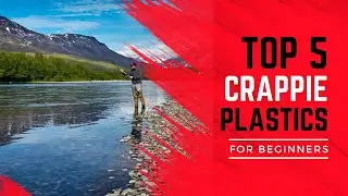 Unveiling The 5 Best Crappie Plastics Under $10!