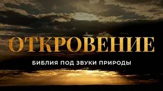 Откровение Иоанна Богослова. Современный перевод Библии 