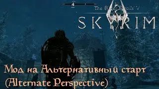Обзор на мод Alternative Perspective (Skyrim AE)
