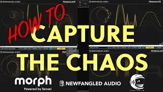 How To Use the Visualizer in Newfangled Audio Pendulate and Generate