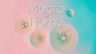 Macro at home idea: Easy, abstract oil on water tutorial