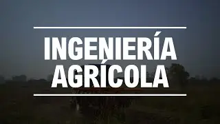 Estudia Ingeniería Agrícola en la UNALM