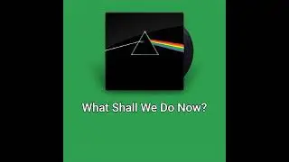 PINK FLOYD - WHAT SHALL WE DO NOW