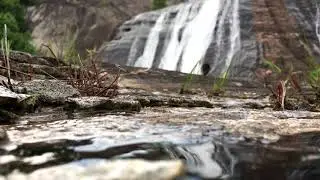 Waterfall - Relaxing Water Sounds - No Birds [ Study, relax, sleep.] hour