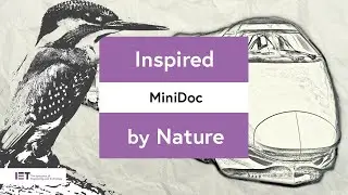​Biomimicry: When nature inspired design​ - 'Bullet Train' and the Kingfisher