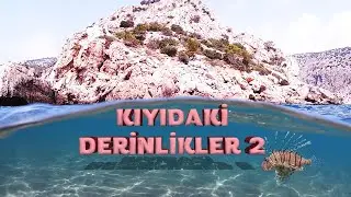 Kıyıdaki Derinlikler 2  |  Zehirli Aslan Balığı | Barbaros Koyu | Temmuz 2020