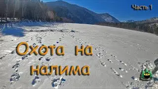 Охота на налима (часть 1)