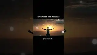 8 августа 2024 г.
