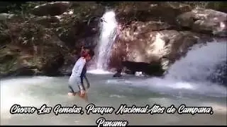Chorro Las Gemelas en lo profundo del Parque Nacional Altos de Campana, Panamá/ Enlodados.com