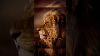~ Эстетика Львов по-мнению Pinterest📌