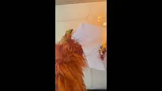 The fire and the monkey