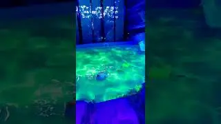 павильон Природоведение на ВДНХ #москва #вднх #природоведение