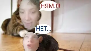 ВОСХОЖДЕНИЕ МЫШЕЙ!!!!:Simulators Mouse #1