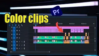 Color label clips in Premiere Pro and Organize your timeline