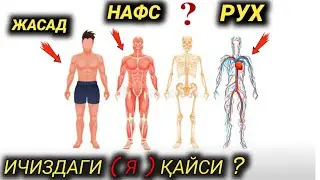 HAMMAGA KERAKLI MAVZU •| ABDULLOH DOMLA •|• АБДУЛЛОҲ ДОМЛА