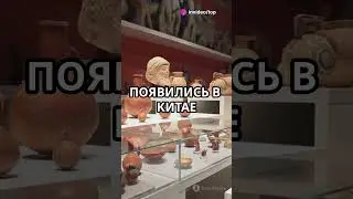 Топ факт о древнем  #science #funny #interestingfacts #fun #facts #interesting