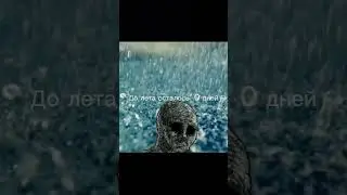 До лета 0 моих видео #meme #memes #shortvideo #shorts