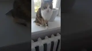 у тебя есть братик