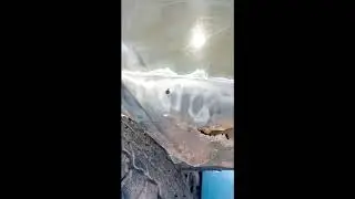 ЖИВОЙ УАЗ