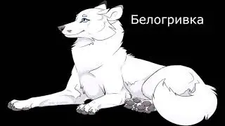 коты воители в облике собак
