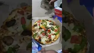 Farmhouse pizza || Dominos pizza ||😍😍😍