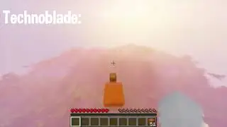 What Technoblade Fans see