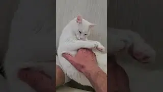 Моя плюшка!