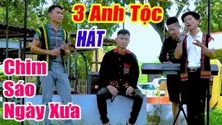 CHIM SÁO NGÀY XƯA 3 ANH TỘC - LK Nhạc Vùng Cao Disco Remix - Nhạc Sống Disco 3 Anh Tộc Căng Vỡ Loa