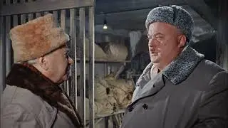 Что вы должны были делать? Стоять на стрёме