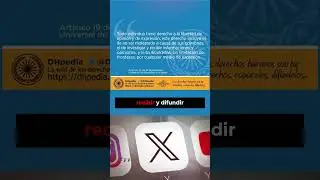 La prohibición de la red social X en Brasil: Un atentado a la libertad de expresión