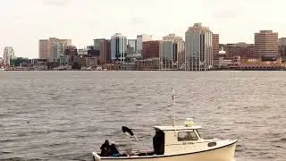 Halifax Nova Scotia Canada Drone 4K