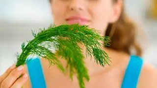 Почему в России очень любят укроп, а иностранцы его терпеть не могут?