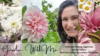 Garden With Me ep6 Hand Pollinating Eggplant, Multi Functions Of Jerusalem Artichokes #abundantfarm