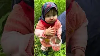 Земляничная поляна 