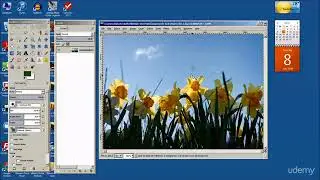Using the Clone Tool to Fix Images