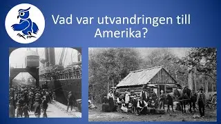 Vad var utvandringen till Amerika? [Sveriges historia]