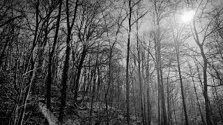 Nocturnal Silence -  Sorrow Of Ravens Demise