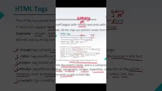 HTML Body & Script Tags: Your Web Magic Toolkit! 
