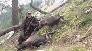 Hunting Chamois on the highest peaks / Chasse au chamois/ Gamsjagd