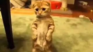 Позитивчик