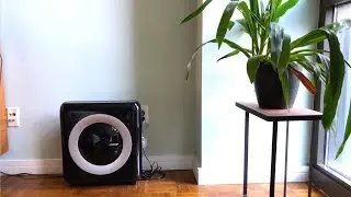 Coway AP-1512HH Mighty Air Purifier Review - Best air purifier for home