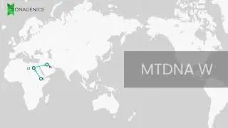 MTDNA W - DNAGENICS
