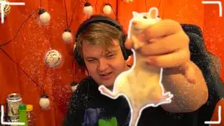 КРЫСКИ | трюк 