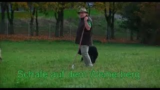 Der Schäfer ist wieder da...