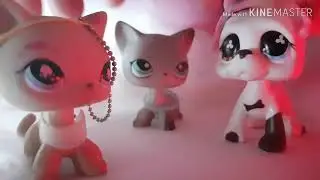 С Hallowen вас!