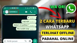 Cara Terbaru Agar Wa Terlihat Offline Padahal Online