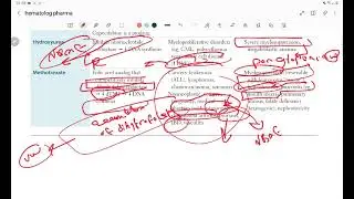 usmle step 1 : all anti cancer drugs important uw and NBME notes