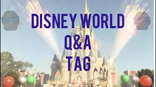 Disney world . Q&A    TAG video